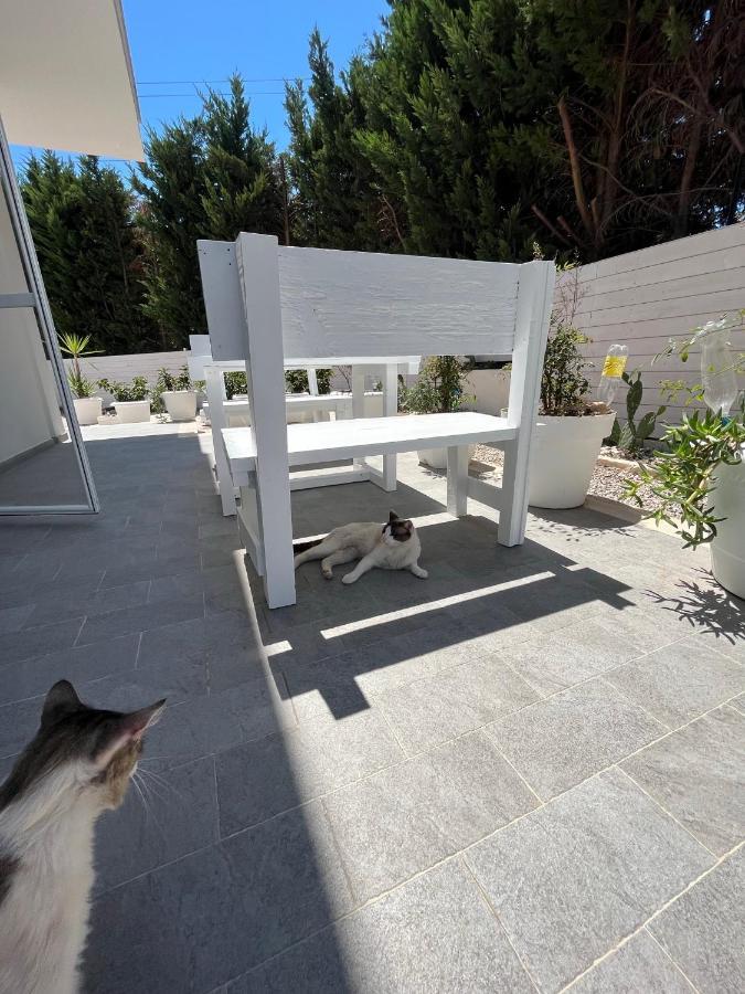 Bed and Breakfast La Casa Di Nina Lecce Exterior foto