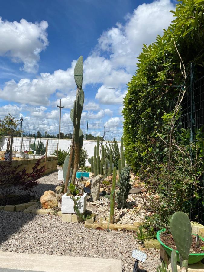 Bed and Breakfast La Casa Di Nina Lecce Exterior foto