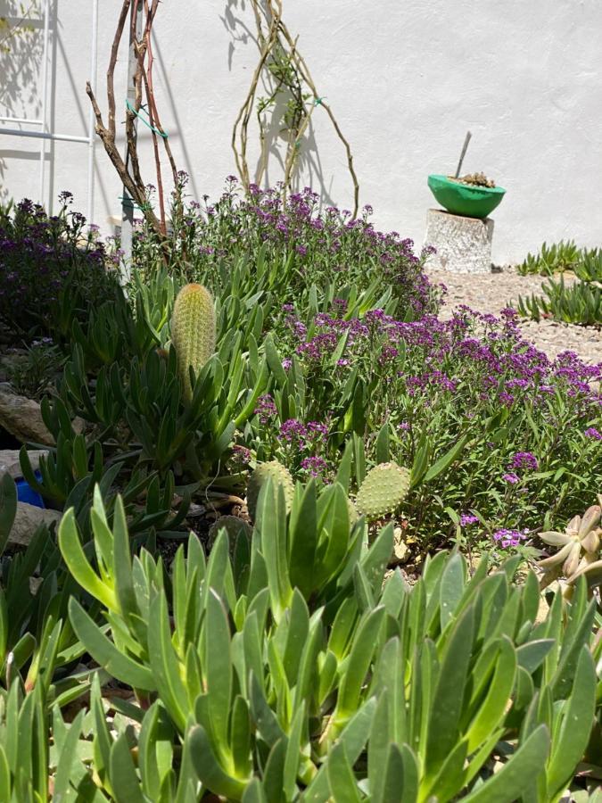 Bed and Breakfast La Casa Di Nina Lecce Exterior foto