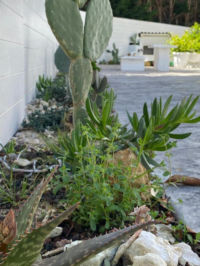 Bed and Breakfast La Casa Di Nina Lecce Exterior foto